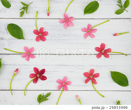 Pink and red flowers on white wood 29853996