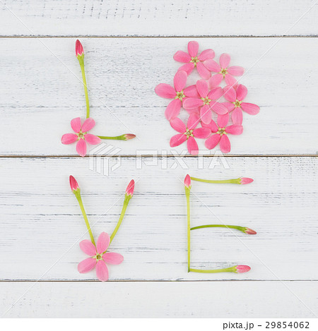 Love made from pink flowers Love made from pink flowers 29854062
