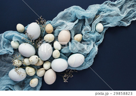 Easter background with blue colored eggs Easter background with blue colored eggs 29858823