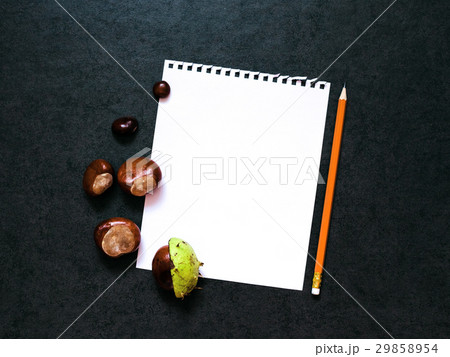 Mock-up with  chestnuts and a sheet of paper 29858954