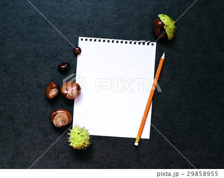 Mock-up with chestnuts and a sheet of paper Mock-up with chestnuts and a sheet of paper 29858955