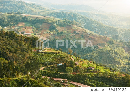 Landscape in Malaysia 29859125