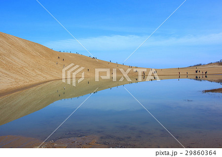 鳥取砂丘とオアシス 鳥取砂丘とオアシス 29860364