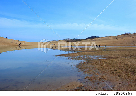 鳥取砂丘とオアシス 鳥取砂丘とオアシス 29860365