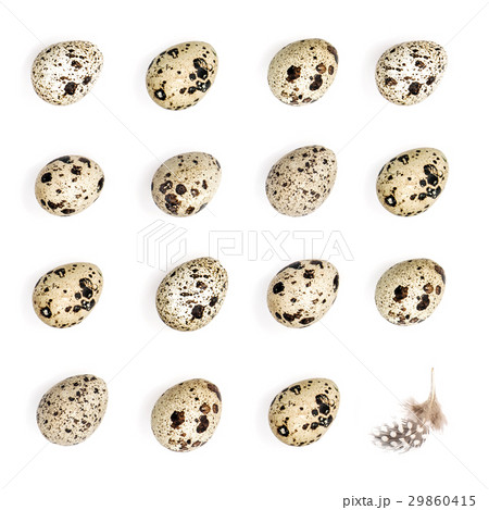 Easter eggs feather decoration Minimal flat lay 29860415