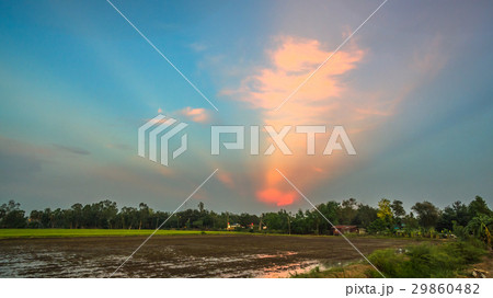 aerial photography at rice field aerial photography at rice field 29860482