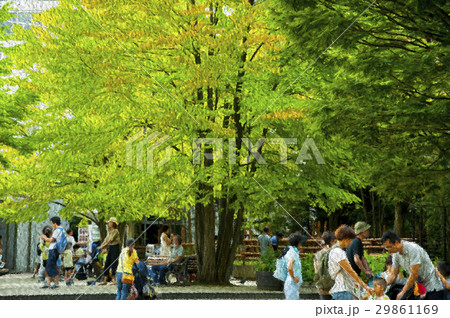 日本 ジャパン 日本国 29861169