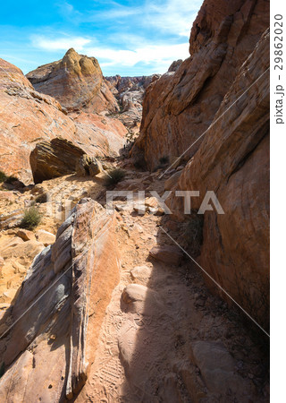 Colorful sandstone on the trail in Valley of Fire Colorful sandstone on the trail in Valley of Fire 29862020