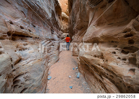 Sandstone slot canyon 29862058