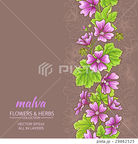 malva vector background malva vector background 29862525