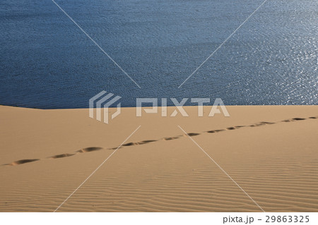 Footprints on the sand dunes 29863325