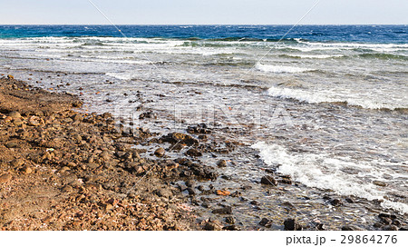 oil dirty beach near Aqaba city port 29864276