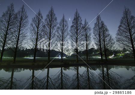 4月の木星と木立・千葉県柏市あけぼの農業公園 29865186