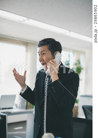 office office 29865902