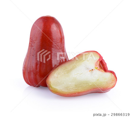 rose apple on white background rose apple on white background 29866319
