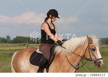 A young woman riding a horse Haflinger A young woman riding a horse Haflinger 29866517
