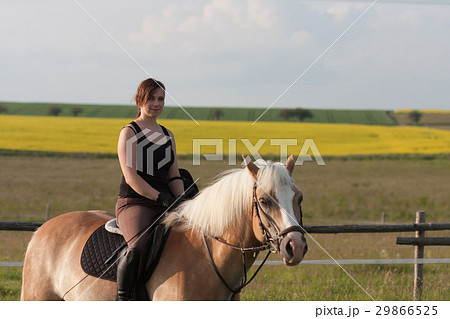 A young woman posing on  a horse Haflinger 29866525