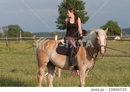 A young woman posing on horse Haflinger A young woman posing on horse Haflinger 29866530