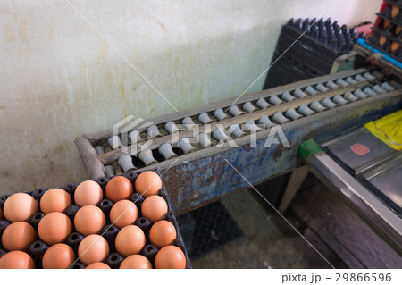Eggs from hen farm and old weight scales machine 29866596