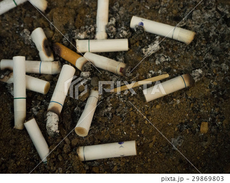Group of cigaratte butts in bin Group of cigaratte butts in bin 29869803