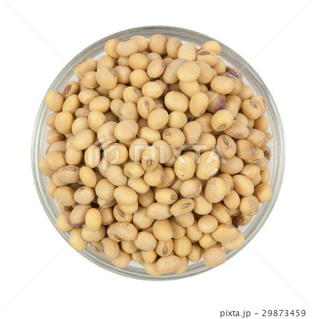 Dried soybean on cup 29873459