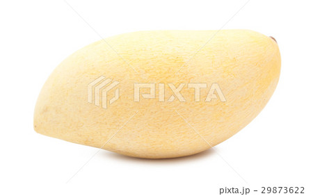 mango isolated 29873622
