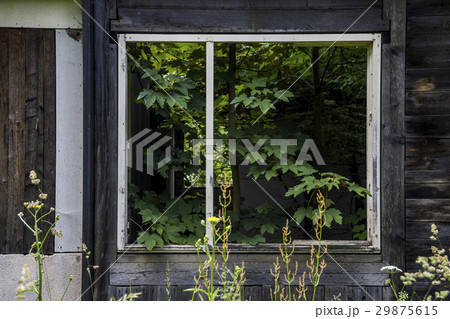 unfinished abandoned house 29875615