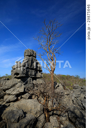 Tsingy in Ankarana, Madagascar wilderness Tsingy in Ankarana, Madagascar wilderness 29875646