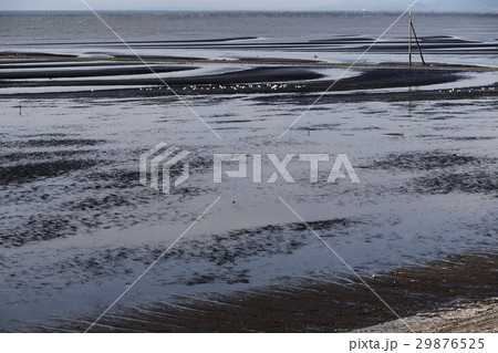 御輿来海岸 29876525