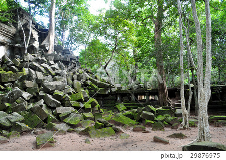 ベンメリア遺跡 29876975