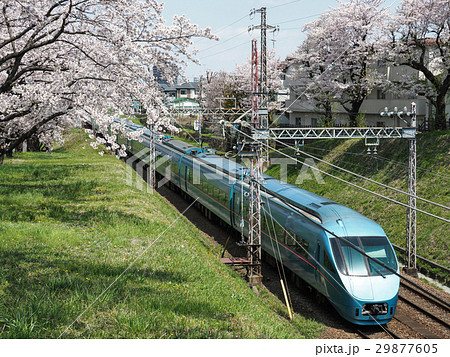 満開の桜と小田急ロマンスカーmseの写真素材