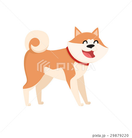 Cute Smiling Akita Inu Dog Character Isolatedのイラスト素材