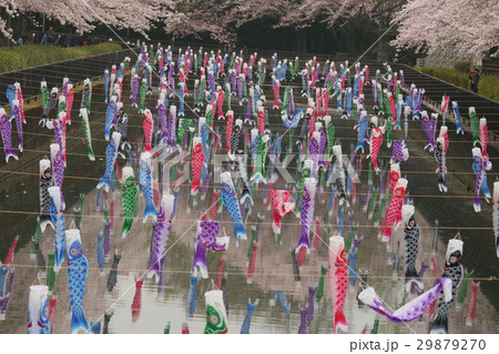 すごい！！！ 29879270