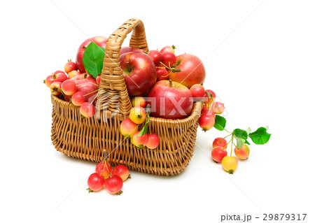 apples in a basket on a white background apples in a basket on a white background 29879317