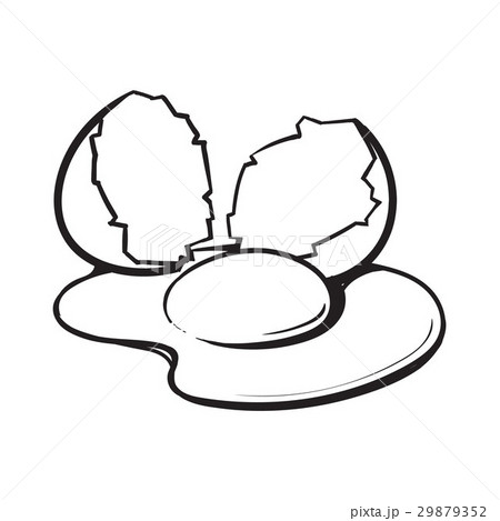 Cracked, broken and spilled chicken egg, sketch 29879352