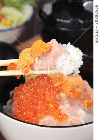 sashimi sashimi 29880566