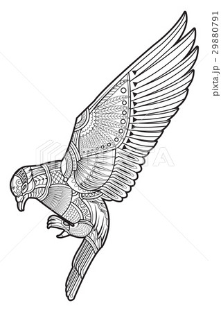 Drawing dove (pigeon) 29880791