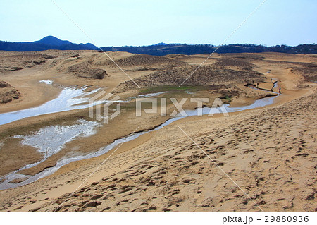 鳥取砂丘とオアシスの写真素材