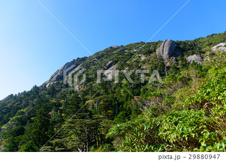 鹿児島 屋久島 宮之浦岳 奥岳の山並み 鹿児島 屋久島 宮之浦岳 奥岳の山並み 29880947