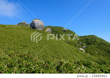 鹿児島　屋久島　宮之浦岳　奥岳の山並み 29880961