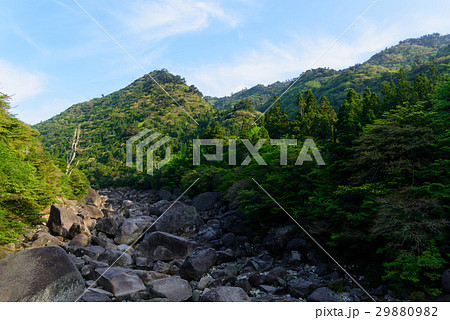 鹿児島　屋久島　宮之浦岳　奥岳の山並み 29880982