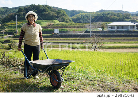 畑仕事をする日本人の高齢者の写真素材