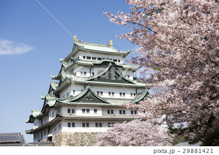 名古屋都市風景・春の名古屋城 名古屋都市風景・春の名古屋城 29881421