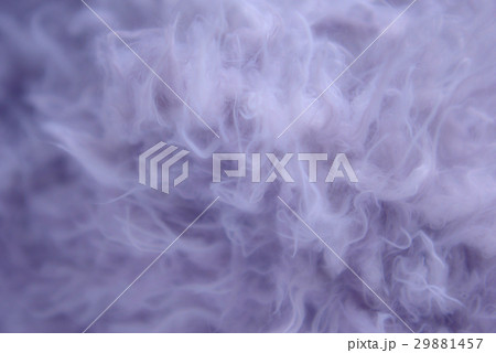 ふわふわもふもふb　ラベンダー 29881457