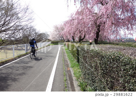 利根川自転車道 29881622