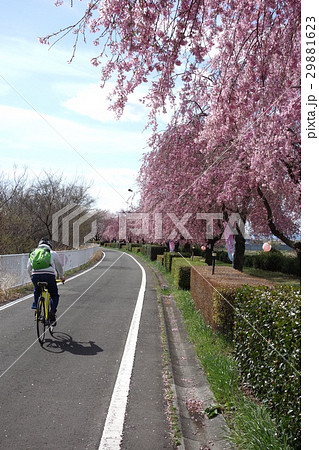 利根川自転車道 利根川自転車道 29881623