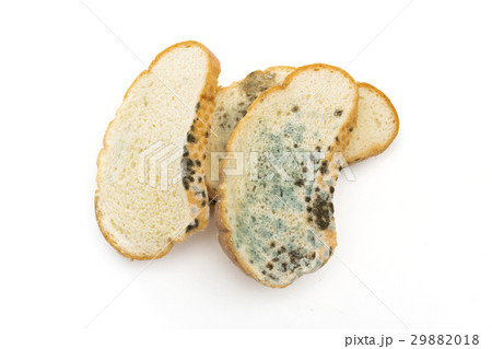 bread on the white background 29882018
