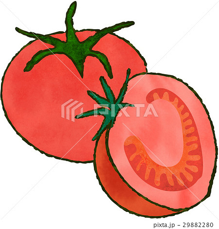 トマトの輪切りのイラスト素材 29882280 Pixta