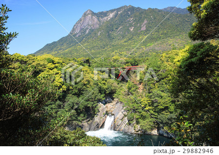 屋久島の珍しい滝　トローキの滝とモッチョム岳 29882946