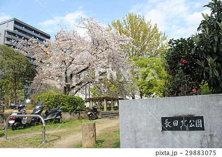 長田北公園/大阪府東大阪市長田東 長田北公園/大阪府東大阪市長田東 29883075